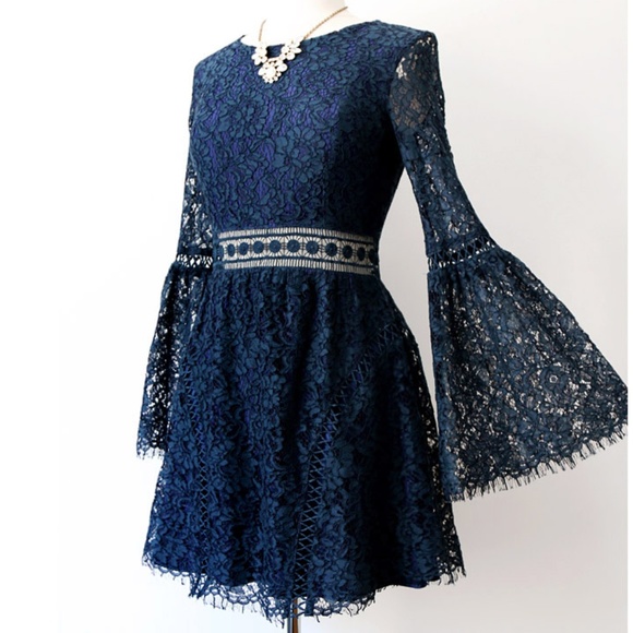Elegant Navy Lace Dress - Picture 1 of 8